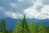 08_01 (11)